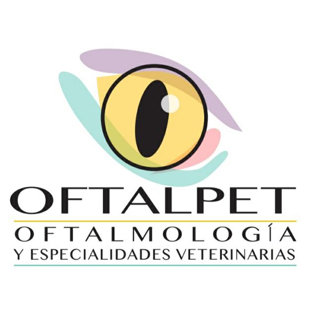 oftalmologiamascotas.cl