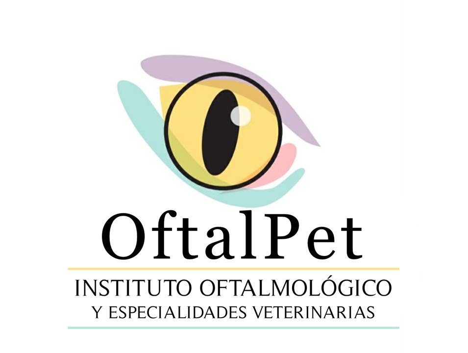 oftalmologiamascotas.cl