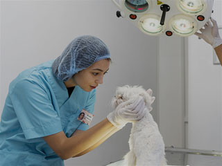 Cirugía de párpados