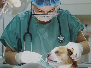 Cirugía de úlceras corneales